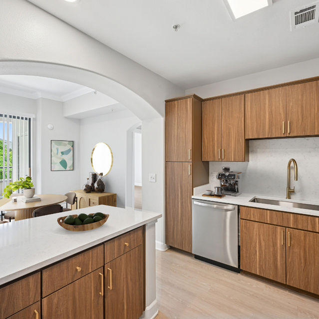 Steamboat Platinum Renovation